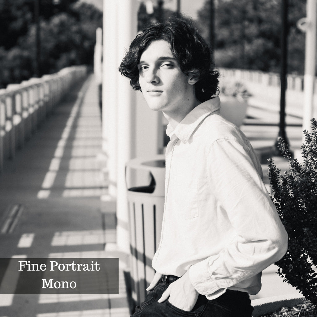 Portrait Preset Pack